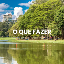O-que-fazer-250x250